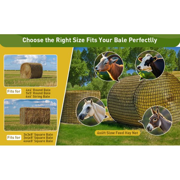 hay chix hay nets for horses