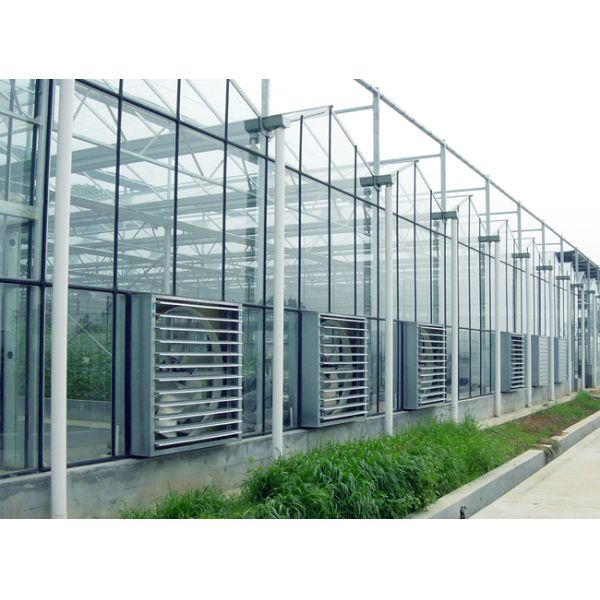Transparent Commercial Glass Greenhouse Good Light Transmission With Insulating Glass