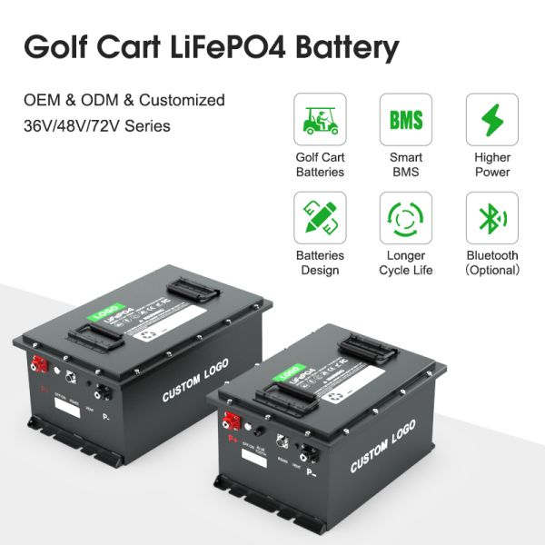 Truck Battery Motive Power Lithium Batteries 48V 105ah 200ah REMA320/Anderson 175 Terminal