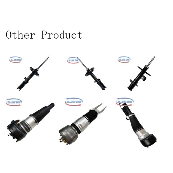 2213205613 Air Suspension Shock Absorber For Mercedes Benz W221 W220