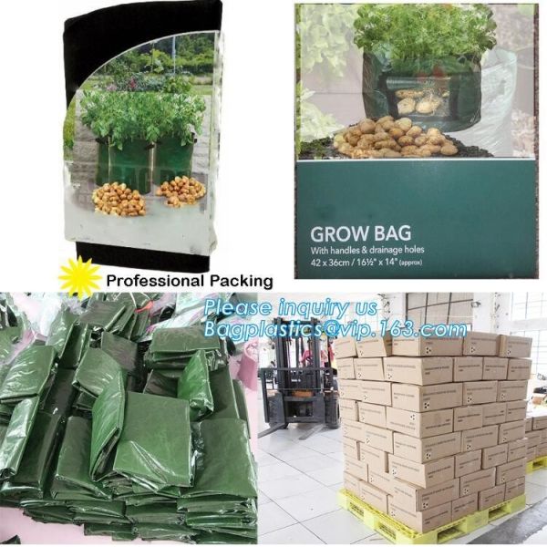 customized waterproof green pe car protector,environmental firendly, car boot liner, reusable, durable,economical,sample