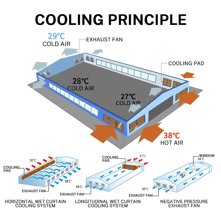 Cooling Poultry Farm Wall Exhaust Fan Greenhouse Ventilation Fan Heavy Duty Wall Mounted Fan