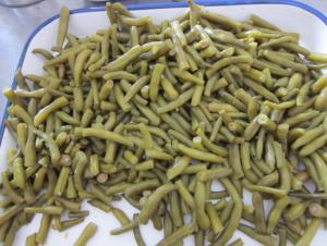 China Canned green beans wholesale