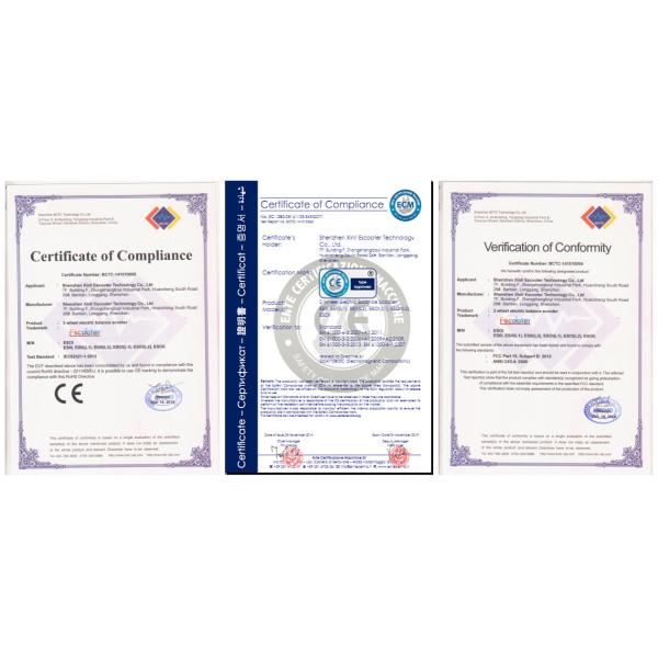 2 wheeler electric scooter standing balancing scooter windrover cheap price in China