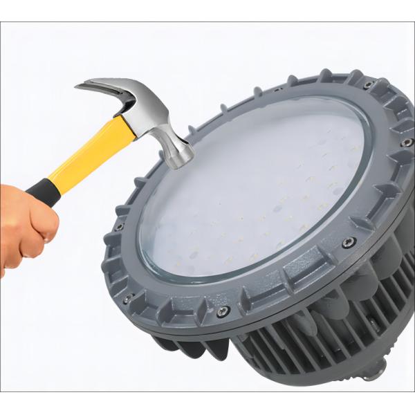 Customized Multi Colors Industrial Led Explosion Proof High Bay Light