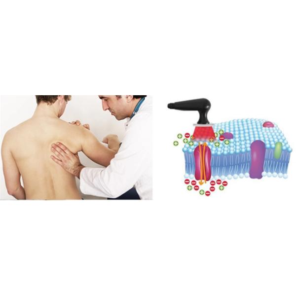 450khz Stationary Zohonice 300w Facial Lifting Machine