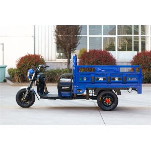 Blue Utility Electric Tricycle Truck Cargo E Trike Truck 1000W