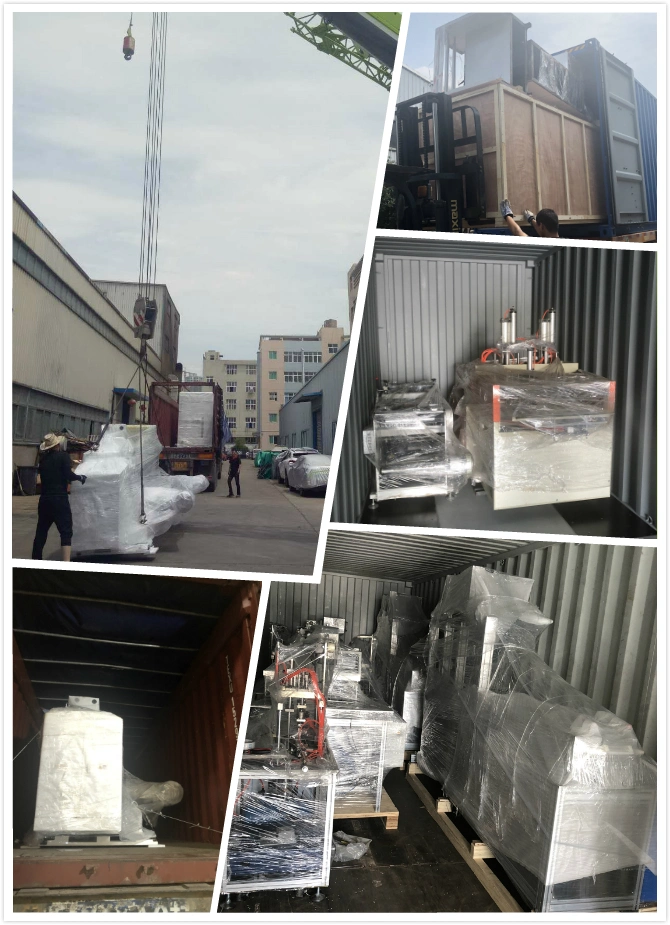 Dog Waste Biodegradable Garbage Bag Making Machine