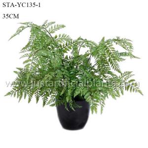 China Simulated Fake Fern Tree , Fake Outdoor Ferns Easy To Care With Ceramic Like Pot wholesale