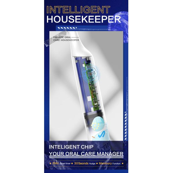 Adult Waterproof Electric Toothbrush IPX7 Ultrasonic Rechargeable Toothbrush