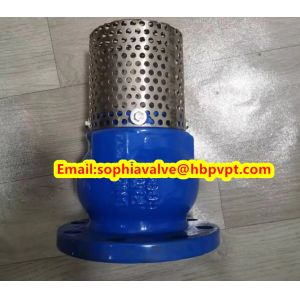 DN80 GGG50 PN16 cast iron flanged foot valve