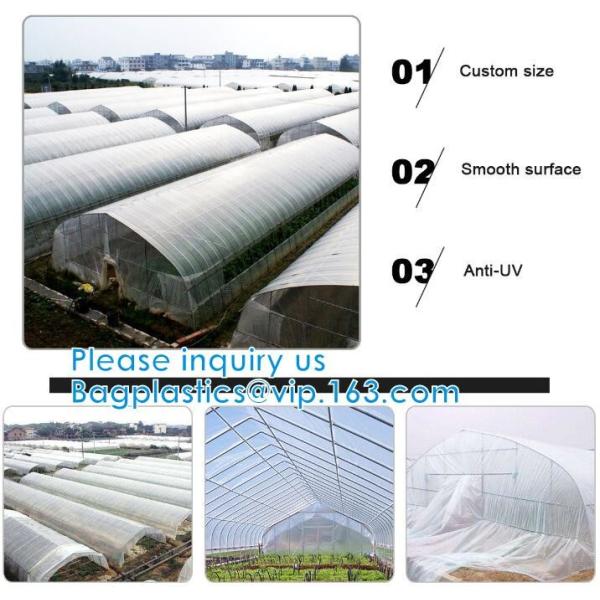 200 Micron Uv Resistant Film Greenhouse Perforated Mulch Agricultural Film Vegetable Planting