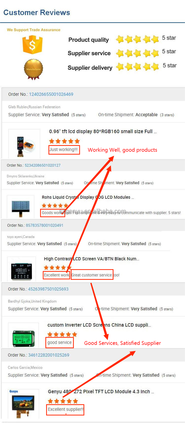 White LEDs Backlight Large VA Black Color Display Screen for Customized Monochrome Segment LCD in Monitor Controller Devices