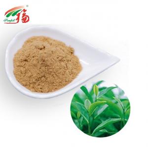 China Instant Oolong Tea Green Tea Extract Powder 20% Polyphenols For Beverage wholesale