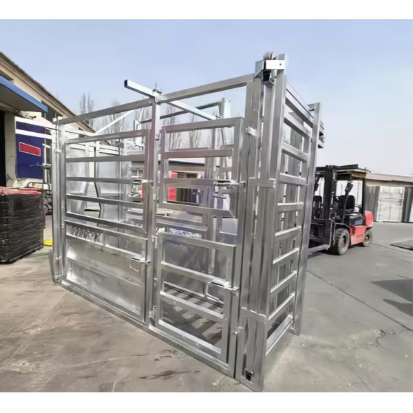 Anti Rust Galvanized Steel Cattle Yard Panels For Farm Fencing