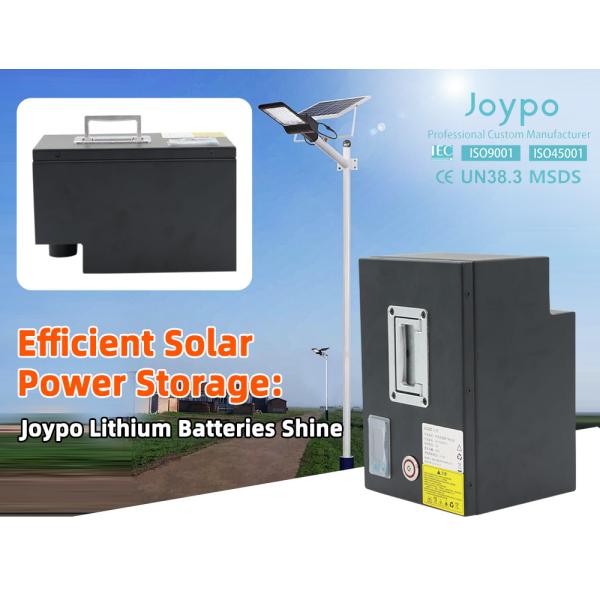 12V LiFePO4 Lithium Rechargeable Battery Pack Customize Special-Shaped For Solar Lamps