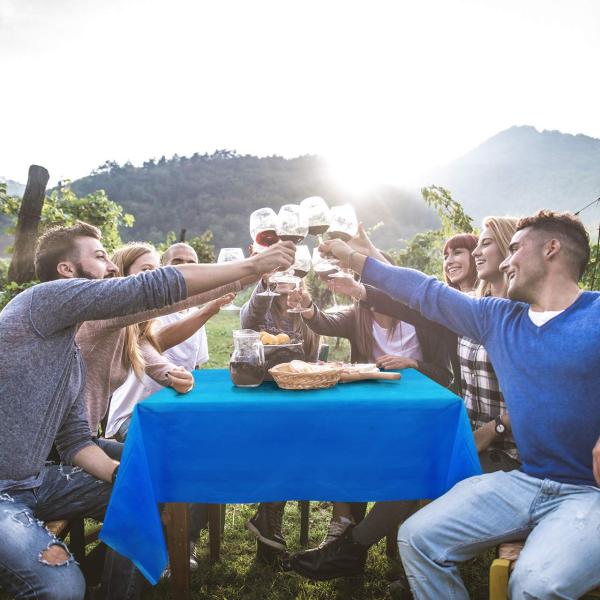 Safe PEVA 54x108 Inch Disposable Table Covers Gravure Printing