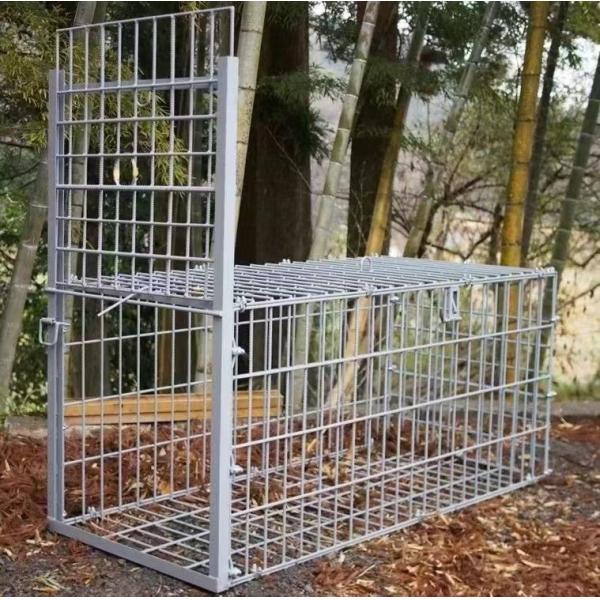 Large Humane Live Animal Trap Cage 2M Single Door Steel Animal Cage