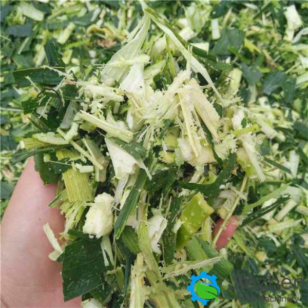 Good Quality Agricultural Equipment Chaff Cutter,Straw Crusher Machine For Animal Feed