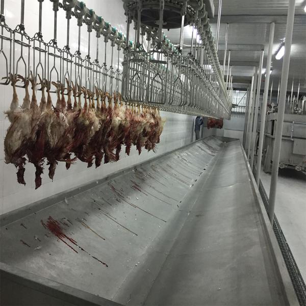 Customized Complete chicken slaughter house Poultry butchery machinery line equipment for factory sale