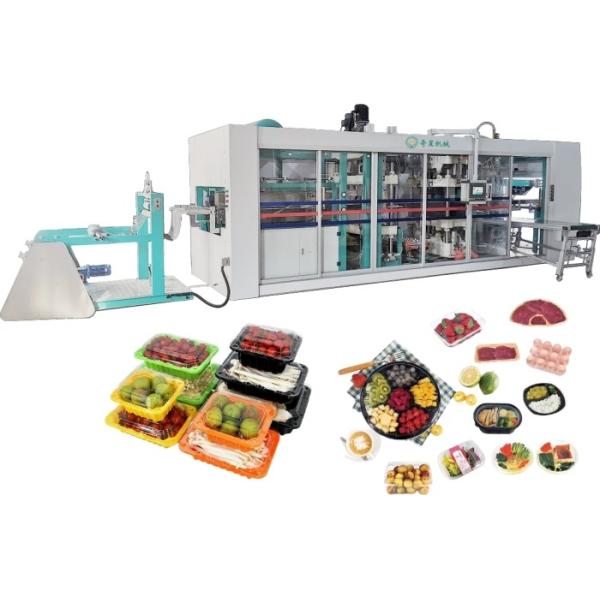 Automatic Thermoforming Blister Machine Process Multi Station