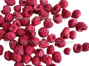 China Sell Green Food No Additives Freeze Dried Raspberries Sugar Free fruit snacks on sale