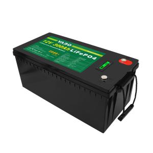 China 12 Volt 100ah Lifepo4 Rechargeable Battery 200ah 300ah 150ah Lithium on sale