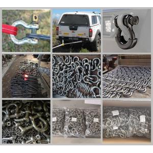 China stainless steel bow shackle ,stainless steel bow shackle wholesale