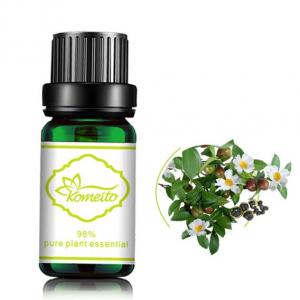 China MSDS Tea Tree 100% Pure Plant Essential Oil For Aroma Diffuser wholesale