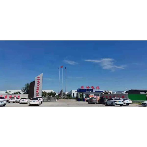 450/750V Rated Voltage PVC Insulated Copper Wire 2.5mm 4mm for Electrical Installation