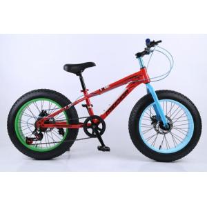 Steel Frame 21 Speed 26 Inch Electric Fat Bike