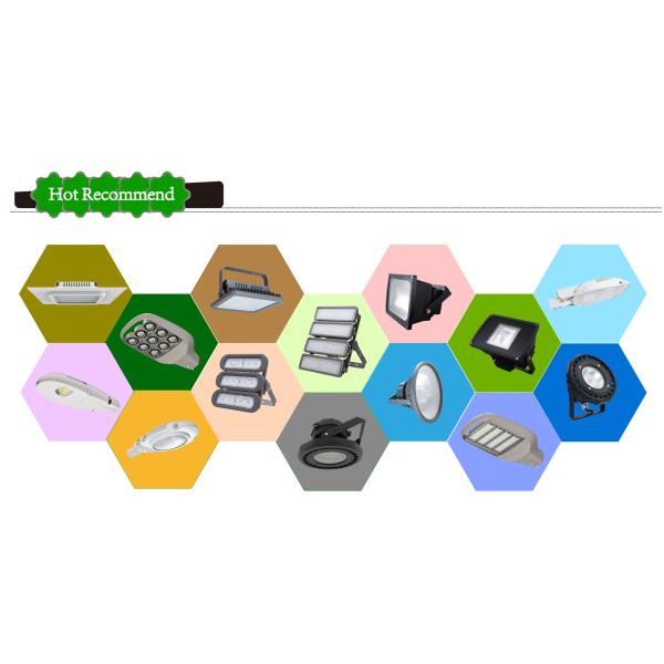 Aluminum Material Outdoor LED Street Lights Waterproof 80w - 300W SMD Chips