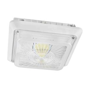 China Kitchen 120V 40W 5000K IP65 LED Canopy Light Fixtures wholesale