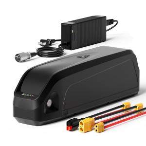 52V 20Ah Hailong Polly EBike Lithium Ion Battery For Long Rides
