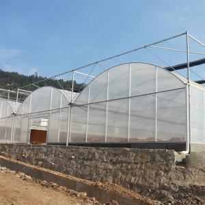 Film Covered Durable Agricultural Tunnel Greenhouse with Optional Cooling System