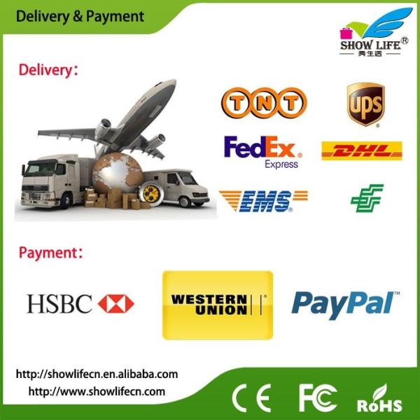 Plastic FCC 5V2.1A 20000mAh Camping Solar Power Bank