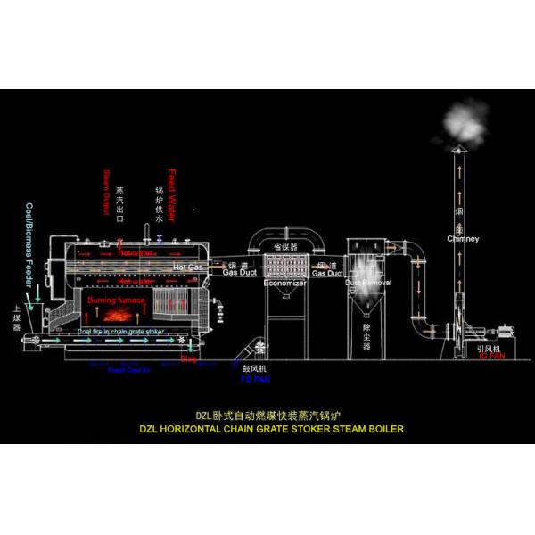 Wood Fired Steam Boiler DZL Type Chain Grate Stoker