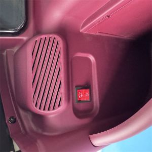 Dual Purpose Electric Leisure Tricycle For Passenger And Cargo Transport