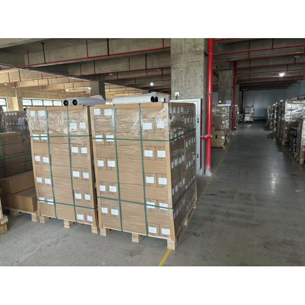 30/60cm Cold Peel / Hot Peel Double Sides Matt DTF Printing PET Film Heat Transfer DTF PET Film Match With Hot Melt Powder