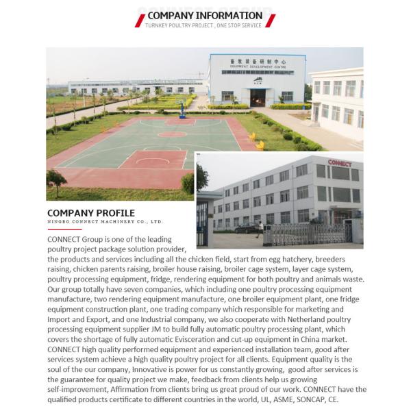 Customized Complete chicken slaughter house Poultry butchery machinery line equipment for factory sale