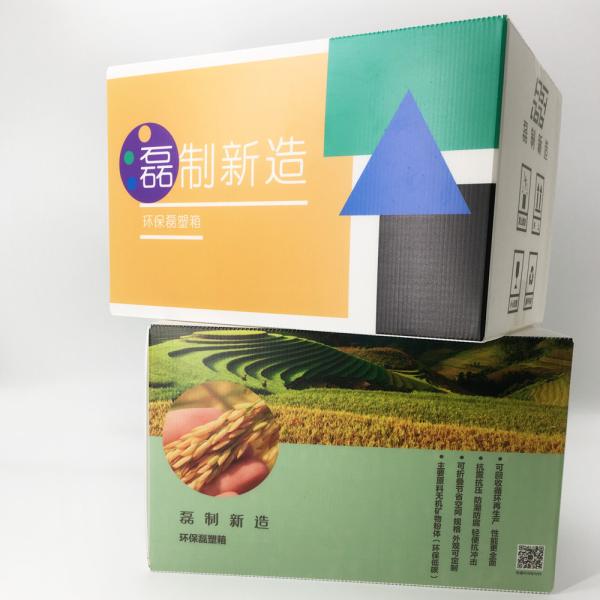 5.0mm Corrugated Plastic Storage Boxes Cold Adaption Pharmacy Packaging Carton