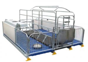 China Stainless Steel Sow Farrowing Crate Pig Farm Adjustable Cast Iron Floor Slat on sale