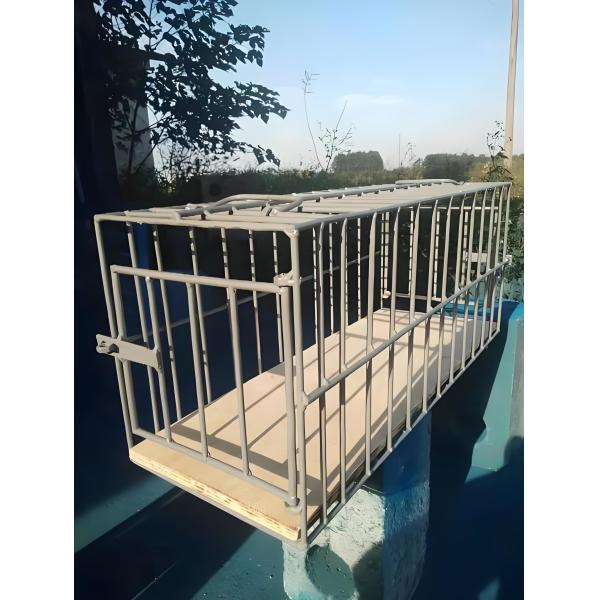 2M Large Humane Live Animal Trap Cage Single Door Animal Catcher Cage