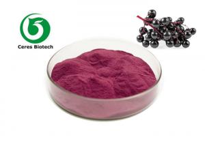 China Antioxidant Anthocyanin Elderberry Extract Powder wholesale