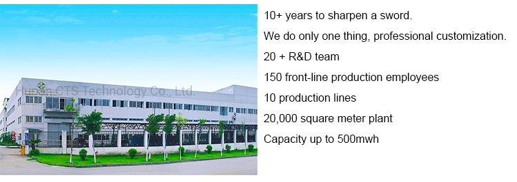 Golf Cart Lithium Battery 48V 100AH 150AH Lifepo4 Battery With Smart BMS