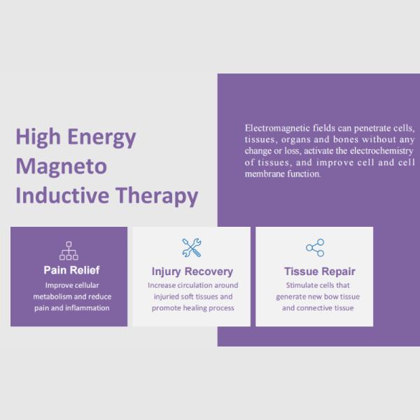 Non-Contact Dual-Channel Pulsed Magneto Therapy Machine
