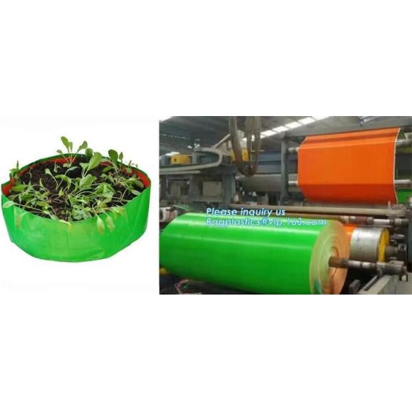 customized waterproof green pe car protector,environmental firendly, car boot liner, reusable, durable,economical,sample