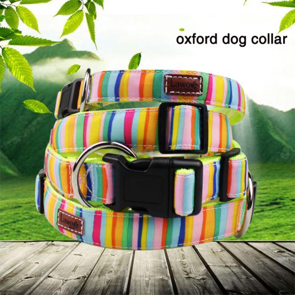 Cute Rainbow Pet Dog Collar Leash Set Nylon Custom Logo Fashion Sublimation