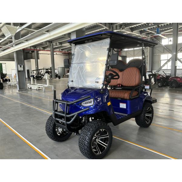Electric Golf Cart 2+2 Passenger Lead Batteries Powered Four Wheeler Hunting Cars