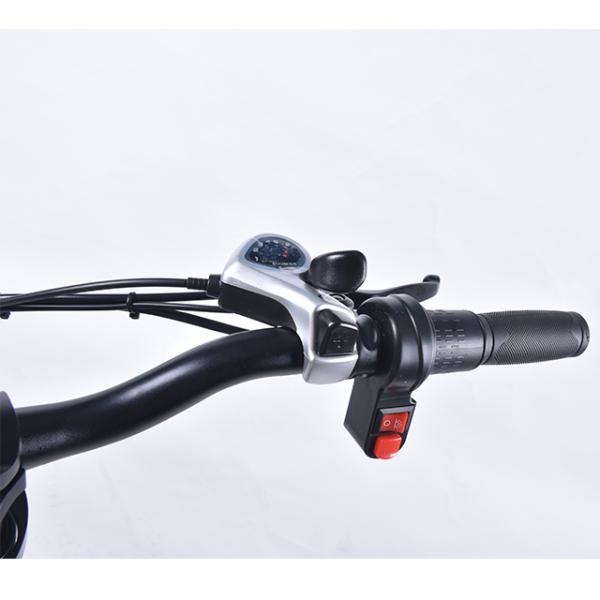 6Speed Fat Wheel Folding Electric Bike , 120KG Load Folding Mountain Ebike